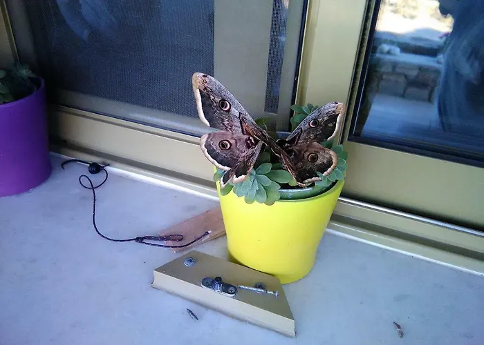 Vila Paros Sunset Psv & Psv2